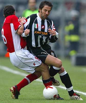 范围秩序 范围秩序